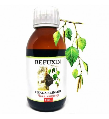 BEFUXIN – elixír z čagy 120 ml 