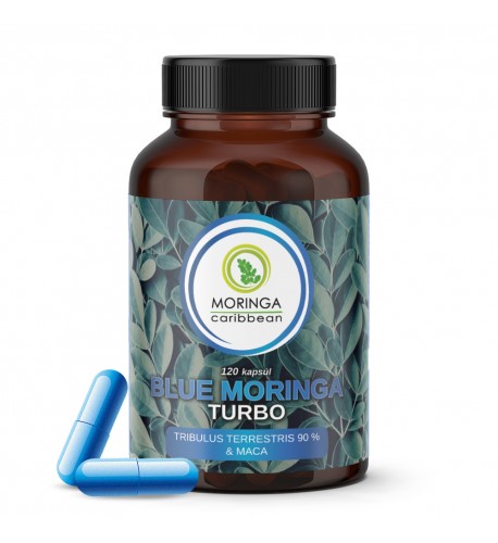 BLUE Moringa TURBO