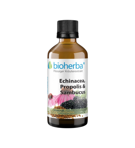 Echinacea, propolis a baza čierna – tinktúra – 50 ml – Bioherba Echinacea, propolis a baza čierna – tinktúra – 50 ml – Bioherba