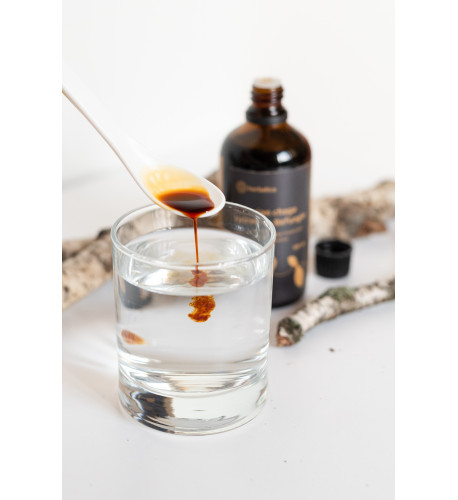 Befungin - tinktúra s extraktom z čagy sibírskej - 100 ml -