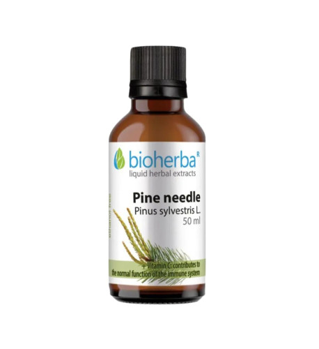 Borovicové výhonky - tinktúra kvapky - 50 ml - Bioherba