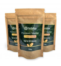 Zvýhodnený set: 3x Prémiová čaga sibírska 100% prášok - 100g
