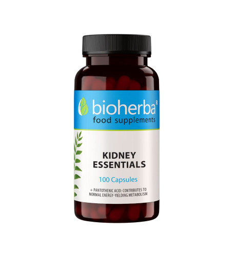 Kidney Essentials – 100 kapsúl – Bioherba