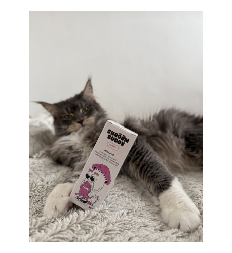 Kvapky do uší CATS – Shroom Buddy Kvapky do uší CATS – Shroom Buddy
