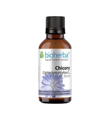 Čakanka (kávová) - tinktúra kvapky - 50 ml - Bioherba Čakanka (kávová) - tinktúra kvapky - 50 ml - Bioherba