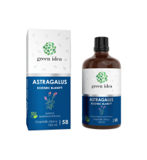 Astragalus – bezalkoholová tinktúra 100 ml – Green idea