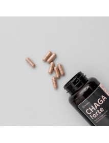 Zvýhodnený set: 2 x Čaga sibírska FORTE - 60 vegánskych kapsúl (600mg/ kapsula) -
