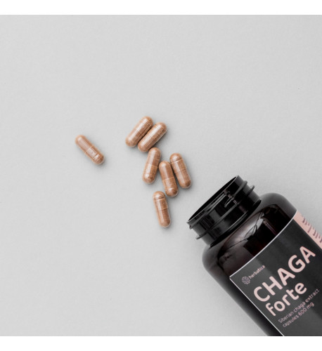 Zvýhodnený set: 2 x Čaga sibírska FORTE - 60 vegánskych kapsúl (600mg/ kapsula) -
