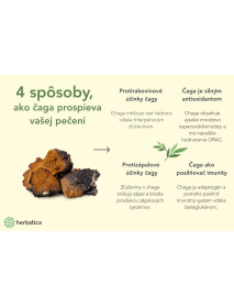 100% Prémiová čaga sibírska drť - 100g