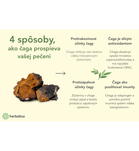 100% Prémiová čaga sibírska drť - 100g