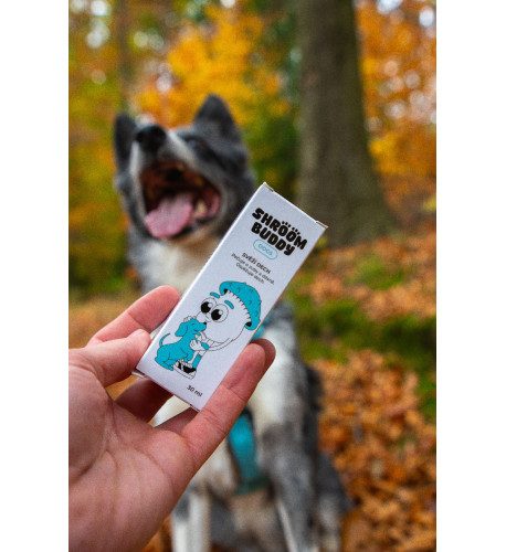 Svieži dych DOGS – Shroom Buddy