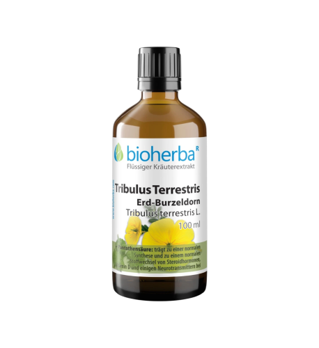 Kotvičník kvapky – tinktúra – 100 ml – Bioherba Kotvičník kvapky – tinktúra – 100 ml – Bioherba