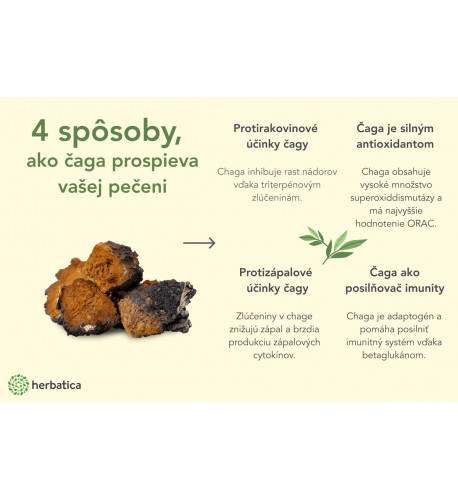 Čaga sibírska - 60 vegánskych kapsúl s INULÍNOM -