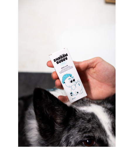 Kvapky do uší DOGS – Shroom Buddy Kvapky do uší DOGS – Shroom Buddy