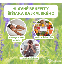Šišiak bajkalský - tinktúra 100 ml