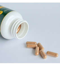 Fat Burner - 70 kapsúl