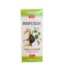 Befuxin – extrakt z čagy – 120 ml – Vitateka Befuxin – extrakt z čagy – 120 ml – Vitateka