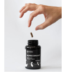 Shilajit - očistené mumio premium (500mg) - výživový doplnok - 80 kapsúl