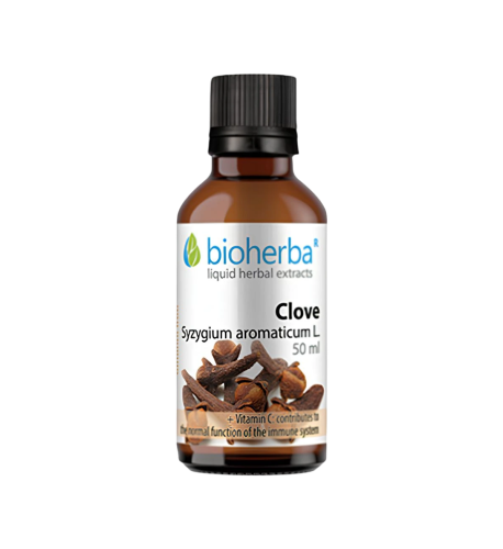 Klinček - tinktúra kvapky - 50 ml - Bioherba
