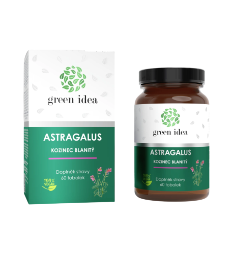 Astragalus – Kozinec blanitý – kapsuly 60 ks – Green idea Astragalus – Kozinec blanitý – kapsuly 60 ks – Green idea