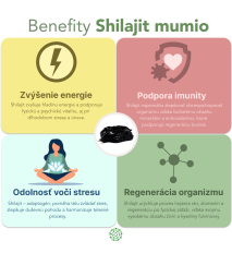 Zvýhodnený set: 2 x Shilajit - očistené mumio premium (500mg) - 80 kapsúl
