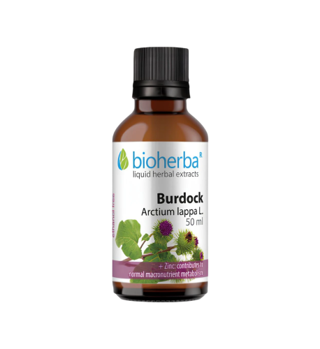 Lopúch väčší - tinktúra kvapky - 50 ml - Bioherba