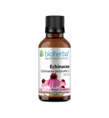 Echinacea kvapky – tinktúra – 50 ml – Bioherba Echinacea kvapky – tinktúra – 50 ml – Bioherba