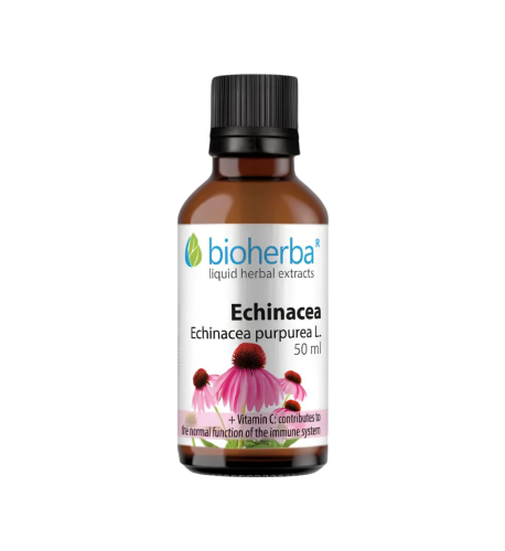 Echinacea kvapky – tinktúra – 50 ml – Bioherba
