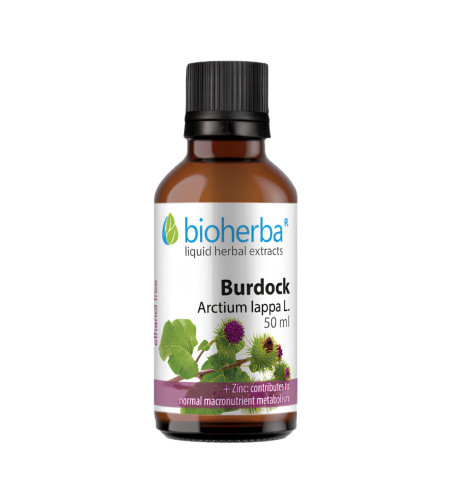 Lopúch väčší - tinktúra kvapky - 50 ml - Bioherba