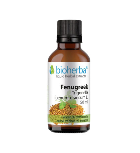 Senovka grécka - tinktúra kvapky - 50 ml - Bioherba