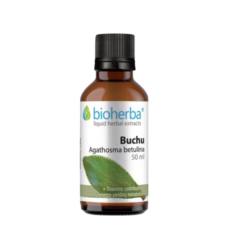 Buchu - tinktúra kvapky - 50 ml - Bioherba