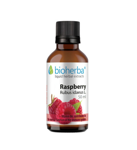 Malina - tinktúra kvapky - 50 ml - Bioherba