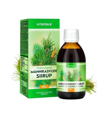 Sirup z borovicových výhonkov – 120 ml – Vitateka Sirup z borovicových výhonkov – 120 ml – Vitateka