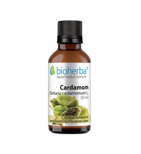 Kardamóm - tinktúra kvapky - 50 ml - Bioherba Kardamóm - tinktúra kvapky - 50 ml - Bioherba