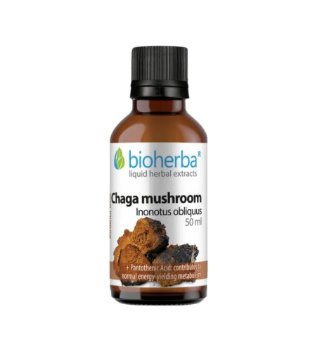 Čaga - tinktúra kvapky - 50 ml - Bioherba Čaga - tinktúra kvapky - 50 ml - Bioherba