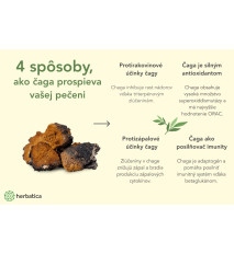 Zvýhodnený set: 2 x Čaga sibírska FORTE - 60 vegánskych kapsúl (600mg/ kapsula)