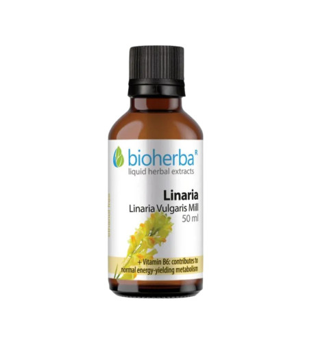Ľanovník - tinktúra kvapky - 50 ml - Bioherba