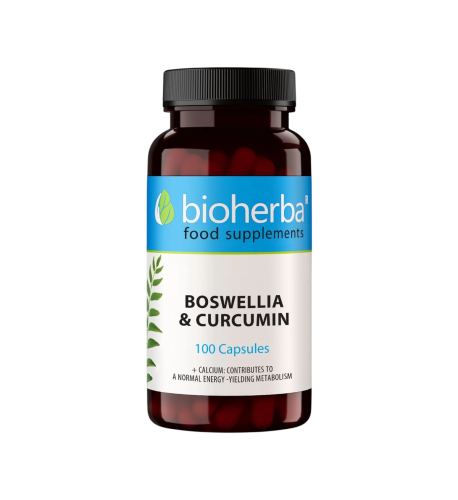 Boswellia & kurkumín – 100 kapsúl – Bioherba Boswellia & kurkumín – 100 kapsúl – Bioherba
