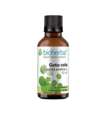 Gotu Kola kvapky – tinktúra – 50 ml – Bioherba