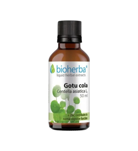 Gotu Kola kvapky – tinktúra – 50 ml – Bioherba