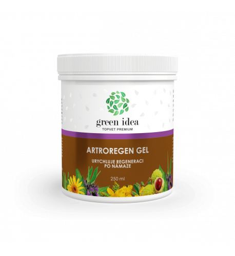 Artroregen masážny gél 250 ml - Green idea