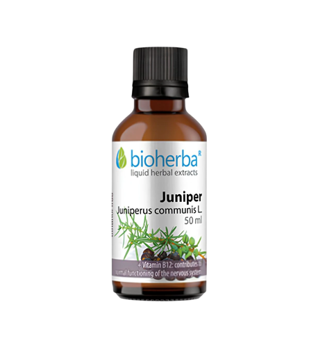 Borievka - tinktúra kvapky - 50 ml - Bioherba