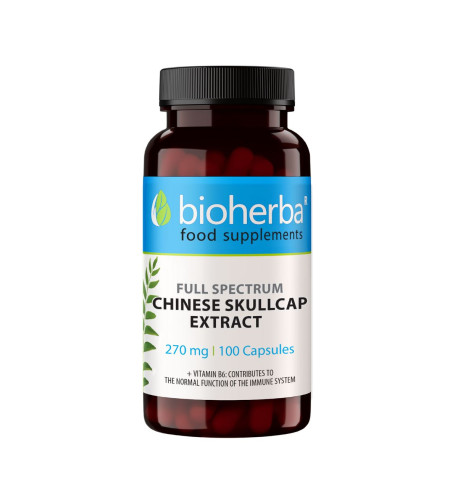 Šišiak bajkalský extrakt 270 mg – 100 kapsúl – Bioherba