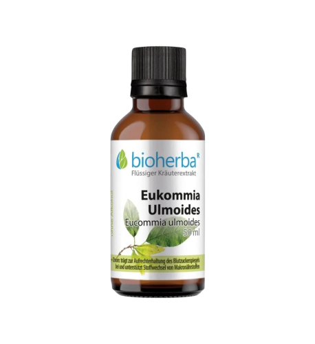 Eukómia - tinktúra kvapky - 50 ml - Bioherba
