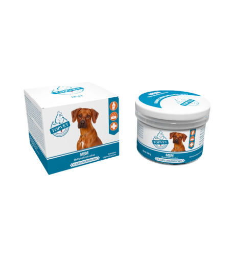 MSM pre psy 100 g – Green idea