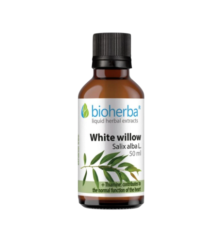 Vŕba biela - tinktúra kvapky - 50 ml - Bioherba