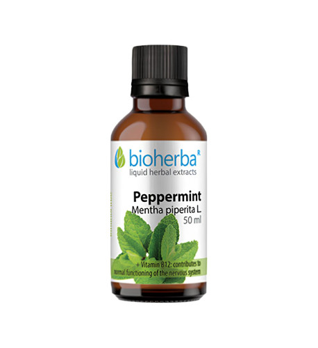 Mäta pieporná - tinktúra kvapky - 50 ml - Bioherba