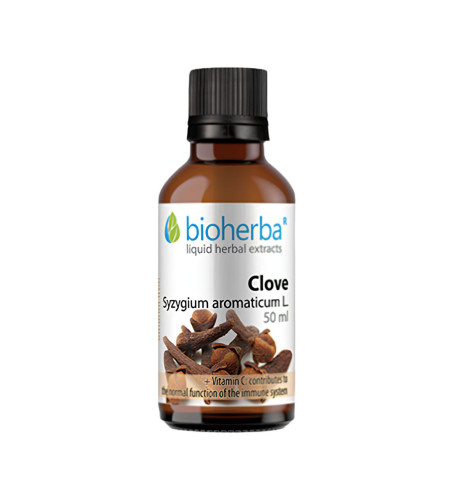 Klinček - tinktúra kvapky - 50 ml - Bioherba Klinček - tinktúra kvapky - 50 ml - Bioherba