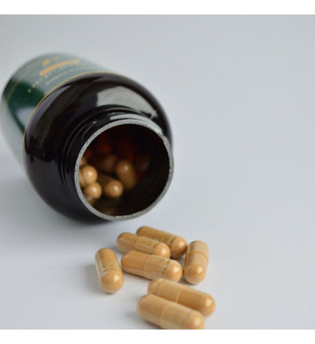 Sulforafán EXTRA - extrakt z brokolice 500 mg, 60 kapsúl Sulforafán EXTRA - extrakt z brokolice 500 mg, 60 kapsúl