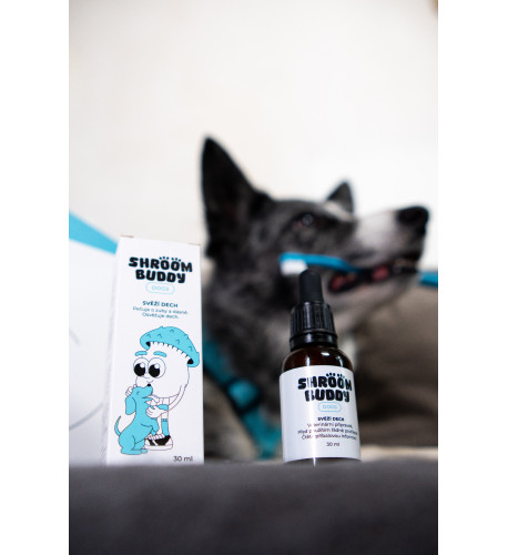 Svieži dych DOGS – Shroom Buddy